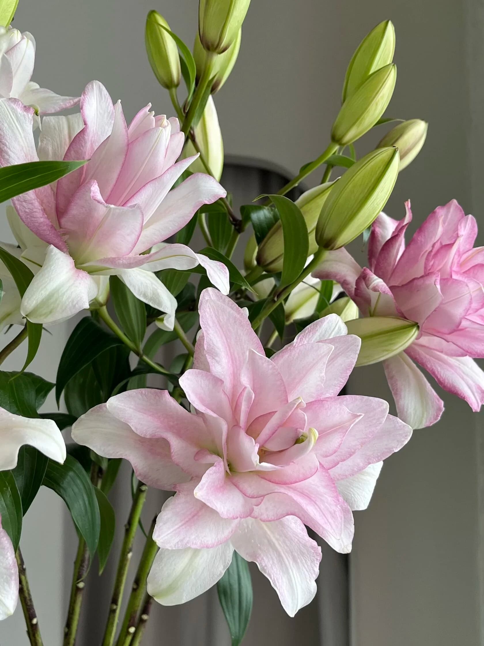 Монобукет лилий миниатюра 2