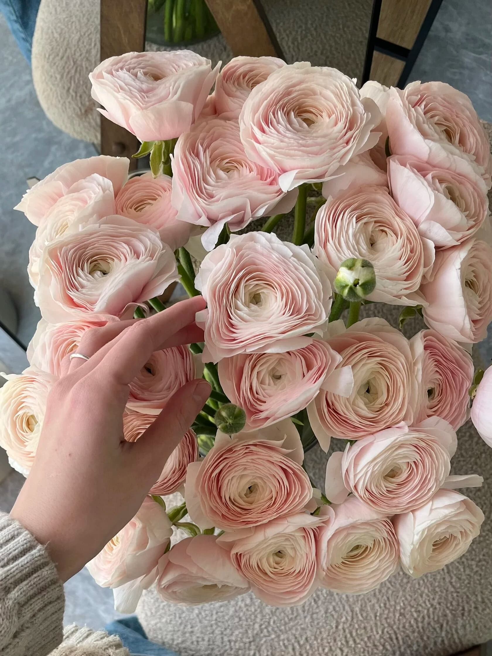 Роскошный ранункулюс миниатюра 3