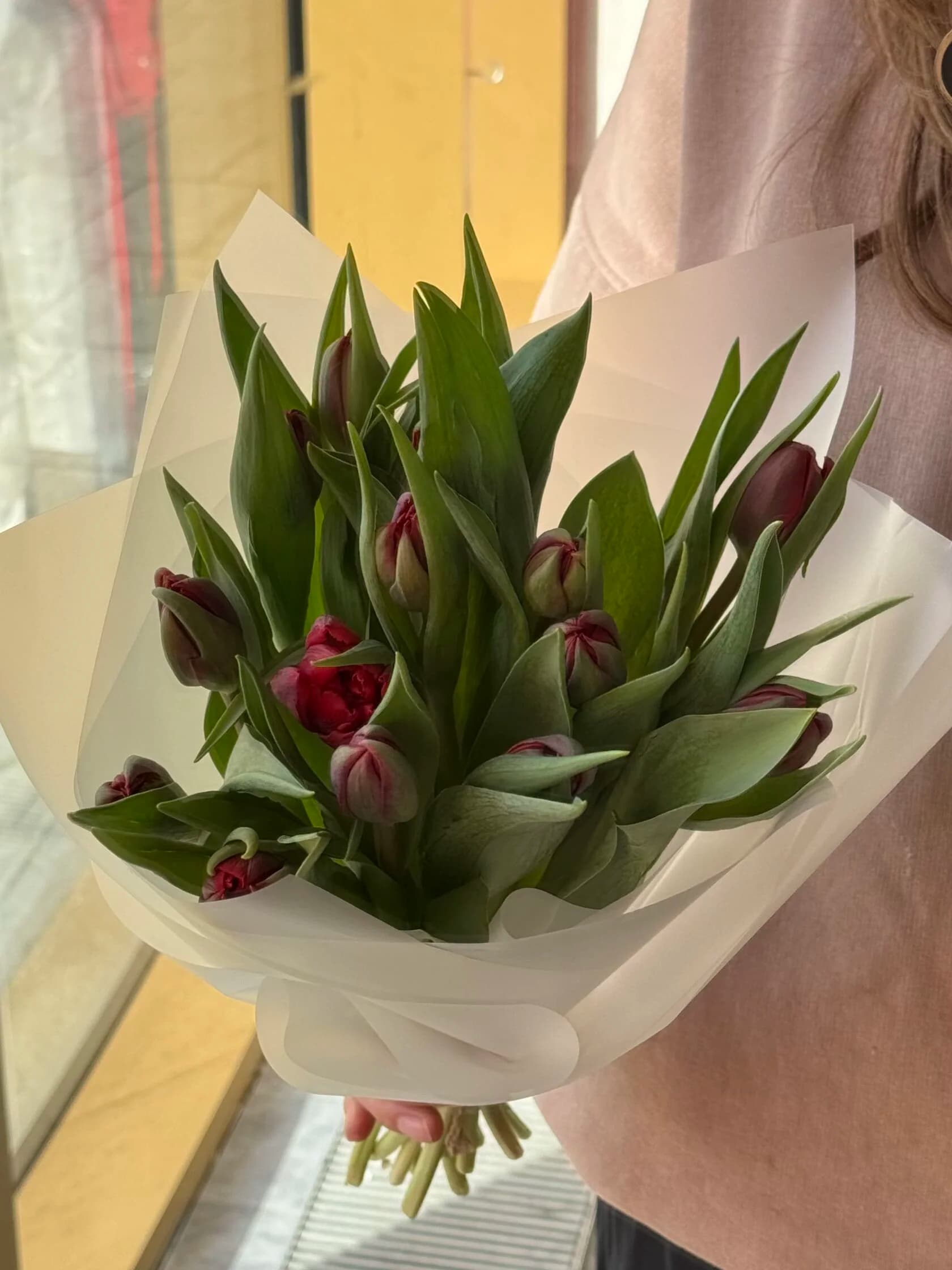 Тюльпаны Бургунди